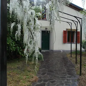 Gingerbread Villafranca in Lunigiana